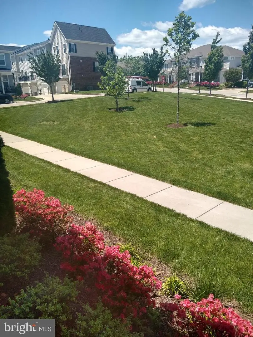 4515 Maple Wood Dr, Baltimore, MD 21229 - #3