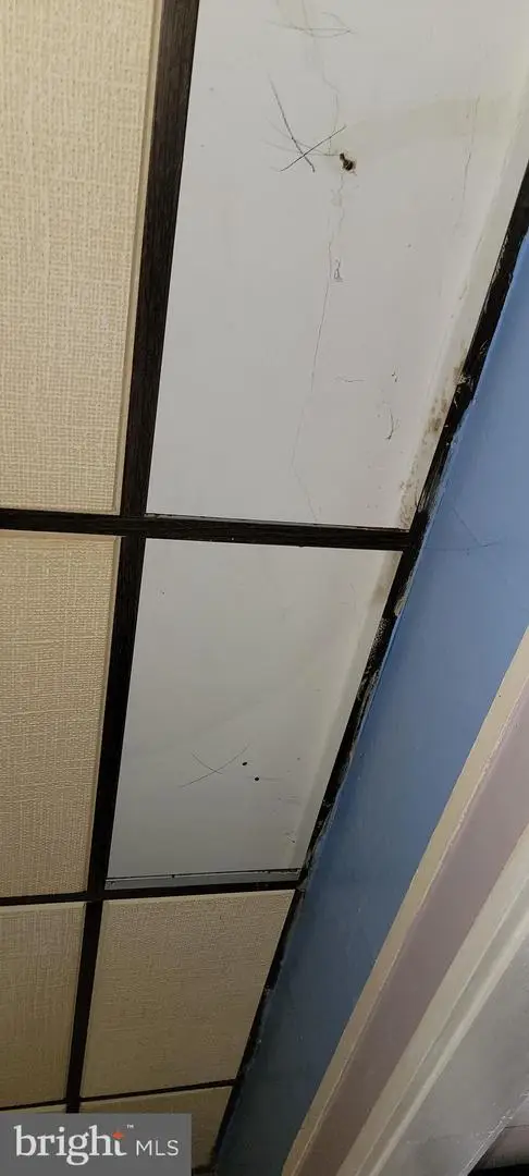 3202 Presbury St, Baltimore, MD 21216 - #3