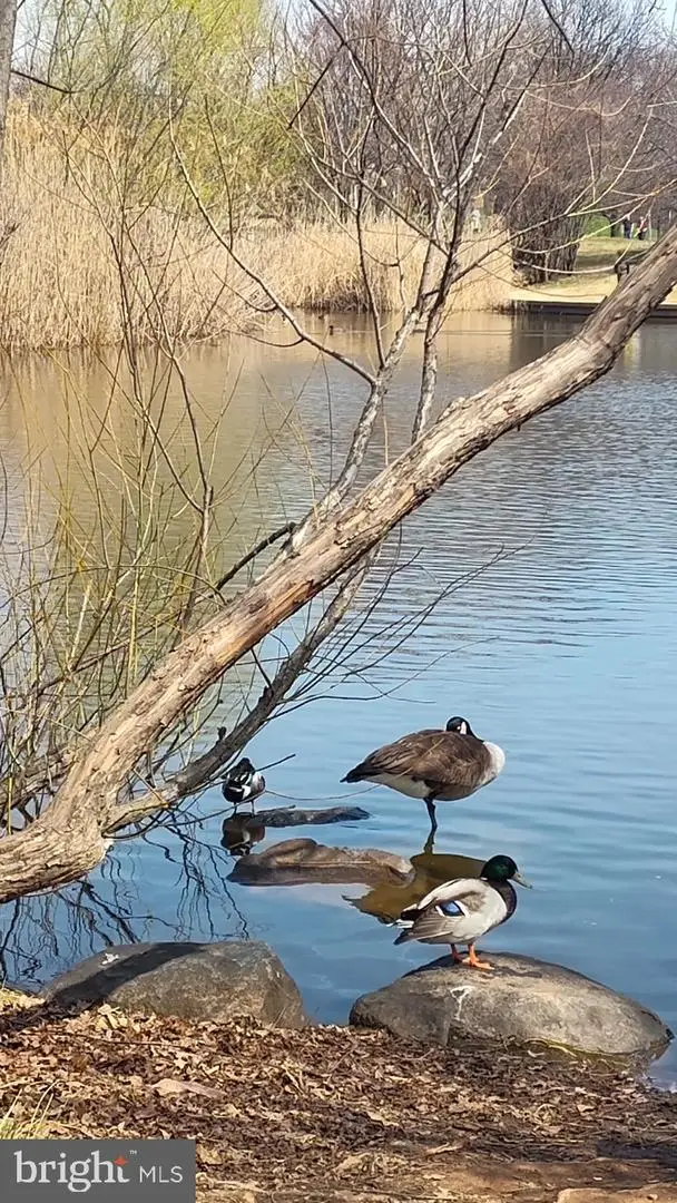 145 N Milton Ave, Baltimore, MD 21224 - #3