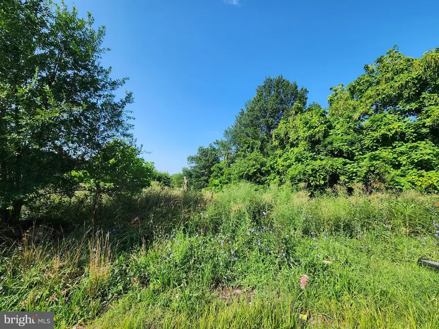 2595 Carroll St, Baltimore, MD 21230 - #3