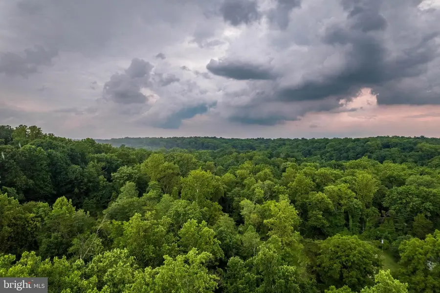 1310 Hollins Ln #lot 2, Baltimore, MD 21209 - Image #3