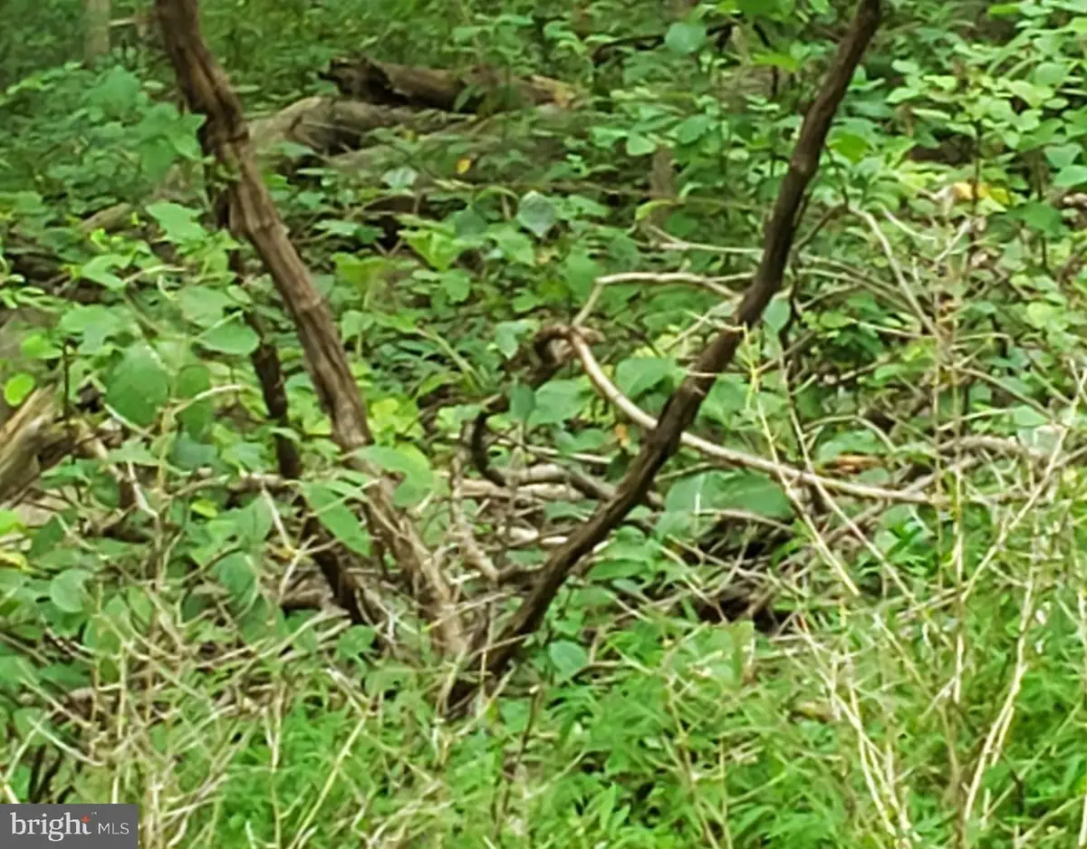 John Ave, Essex, MD 21221 - Image #1