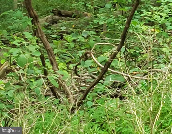 John Ave, BALTIMORE, MD 21221