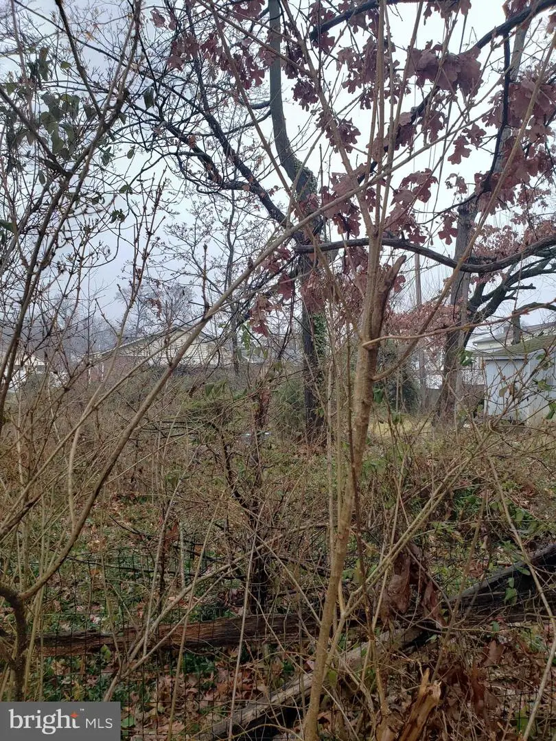 John Ave, Essex, MD 21221 - Image #2