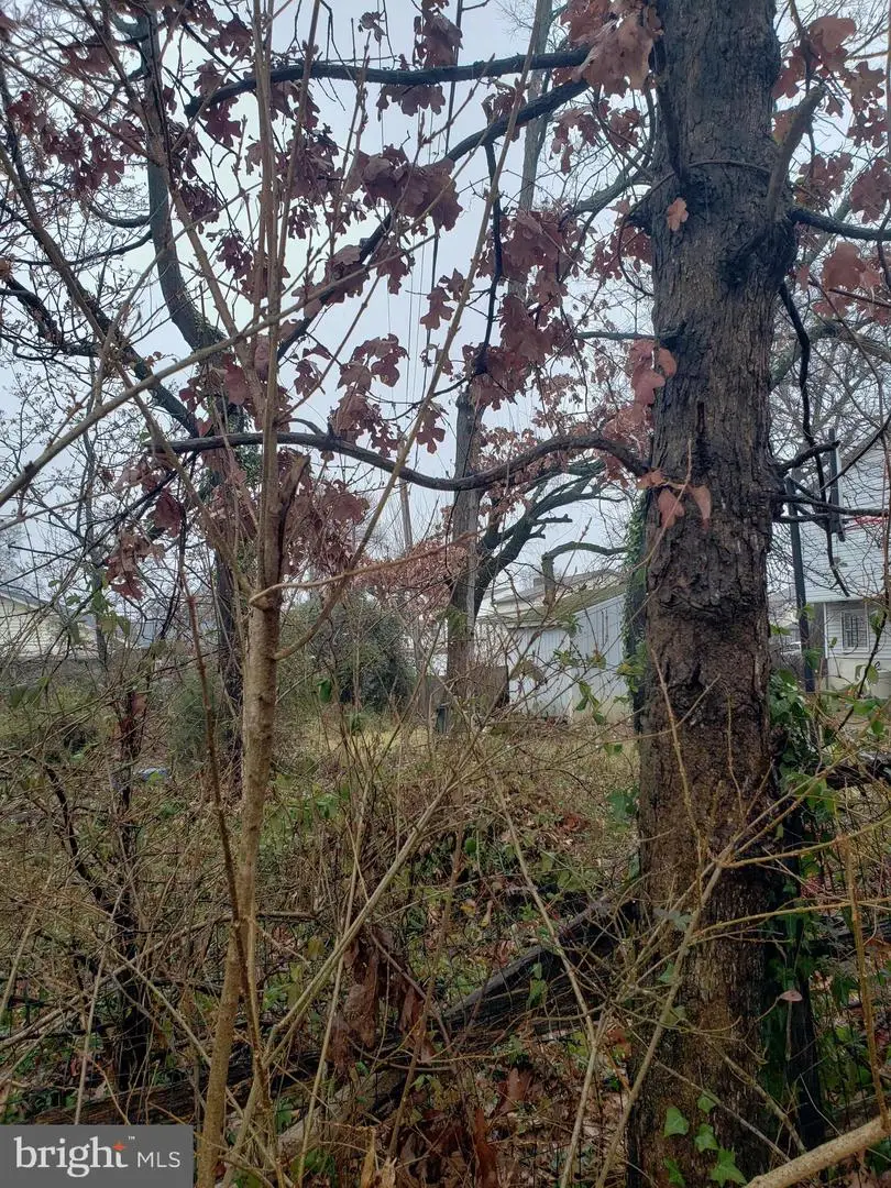 John Ave, Essex, MD 21221 - Image #3