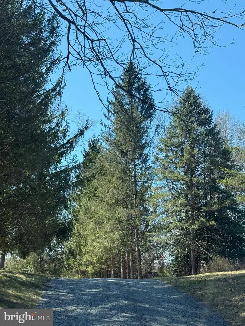 Falls Rd, Sparks, MD 21152 - Image #3