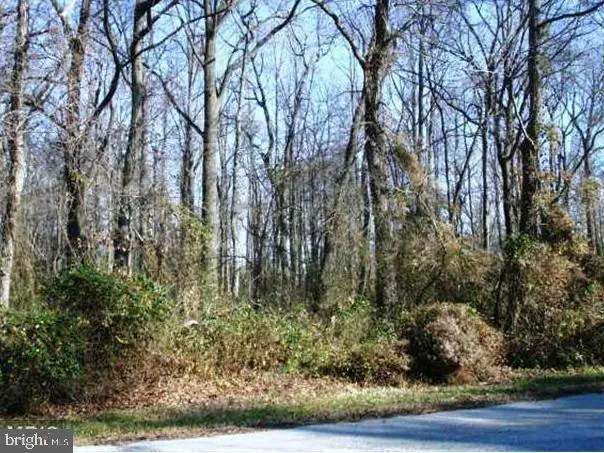 9th St & Swan Ave Lots 364-365, 371-374, 382-387, Sparrows Point, MD 21219 - Image #2