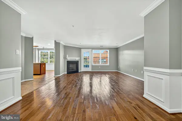 9500 Side Brook Rd #304, OWINGS MILLS, MD 21117