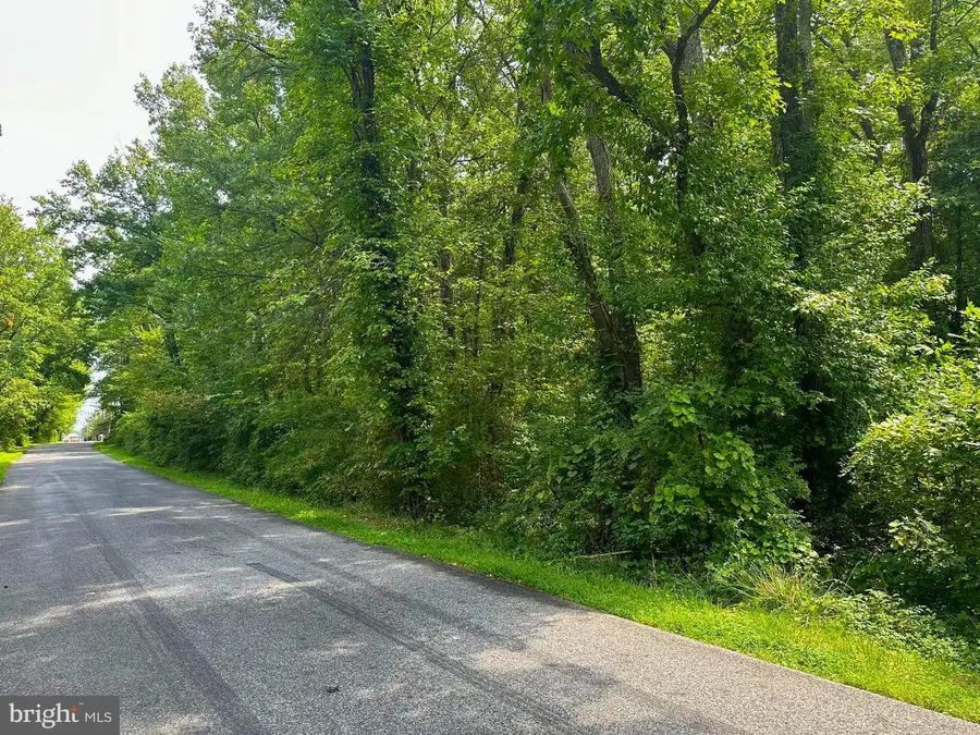 Parcel 943 Browns Rd, Essex, MD 21221 - Image #3