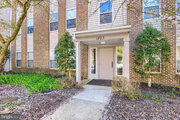 1803 Snow Meadow Ln #302, BALTIMORE, MD 21209
