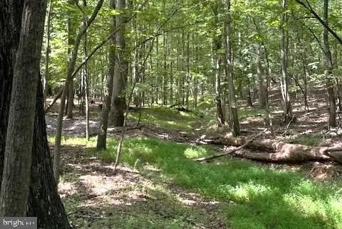 16418 Cedar Grove, Sparks, MD 21152 - #1