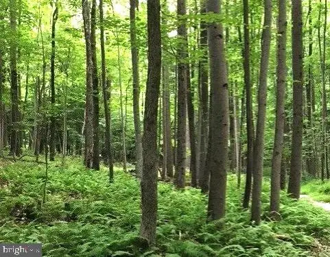 16418 Cedar Grove, Sparks, MD 21152 - #3