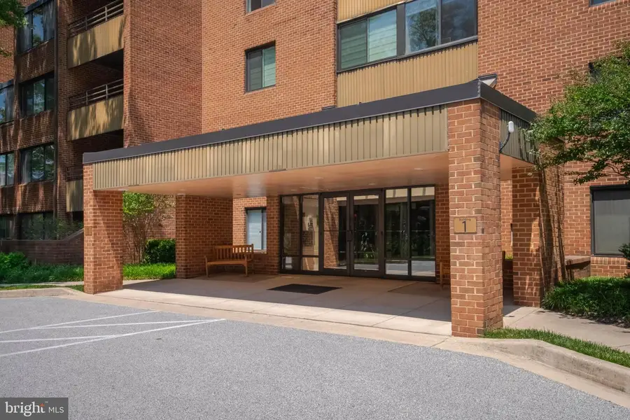 1 Southerly Ct #305, Towson, MD 21286 - #2