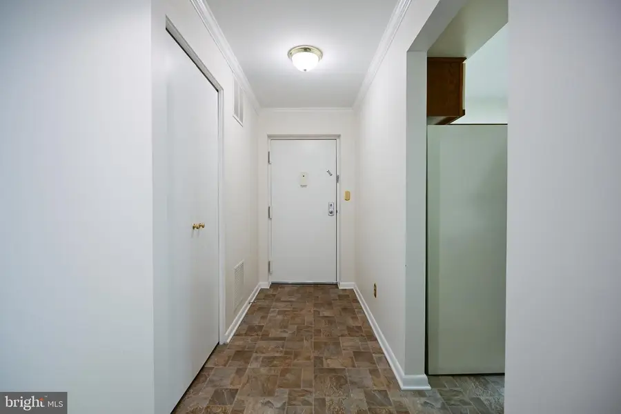 117 Castletown Rd #301, Lutherville Timonium, MD 21093 - #3