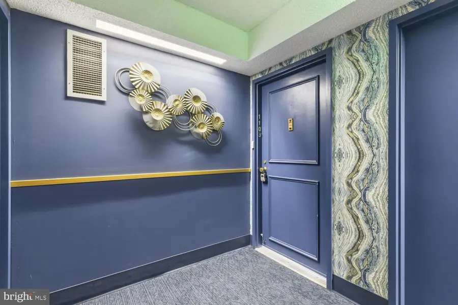205 Joppa Rd E #1103, Towson, MD 21286 - #3