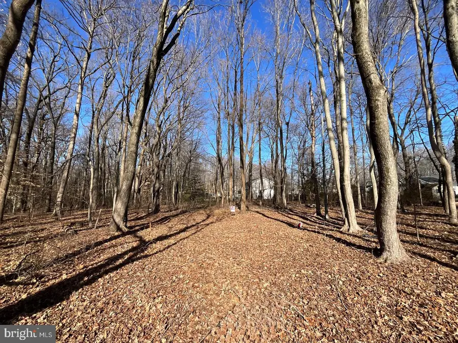 Holly Neck Road, Essex, MD 21221 - #3