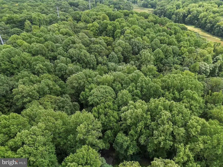 572 Evergreen Ct, Lusby, MD 20657 - Image #2