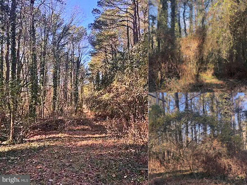 330 Lessin Dr, Lusby, MD 20657 - Image #1