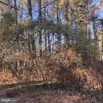 330 Lessin Dr, Lusby, MD 20657 - Image #2