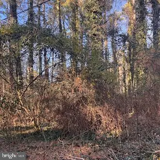 330 Lessin Dr, Lusby, MD 20657 - Image #3