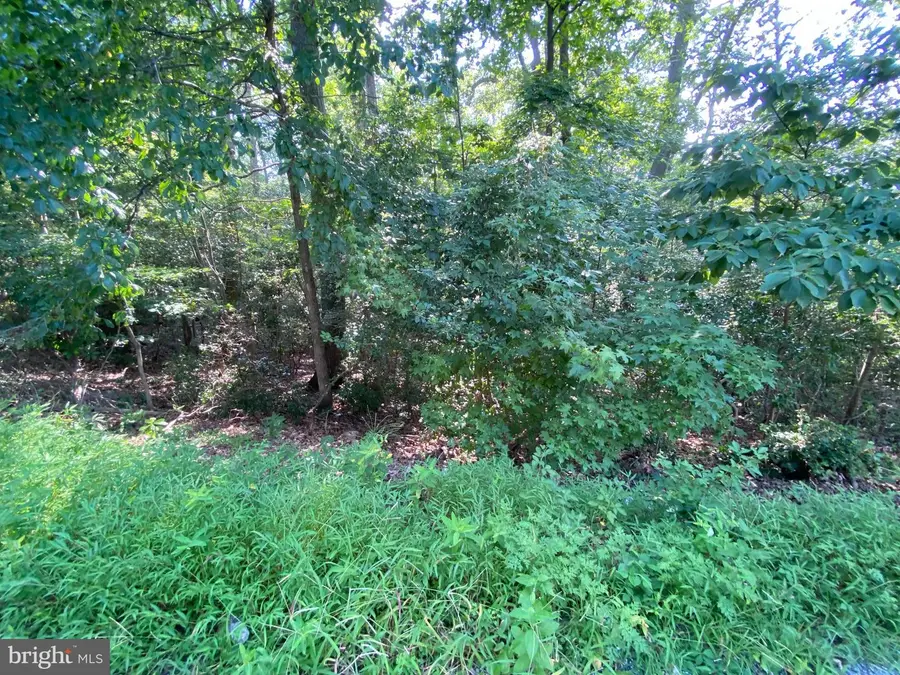 11525 Senora Ln, Lusby, MD 20657 - Image #2