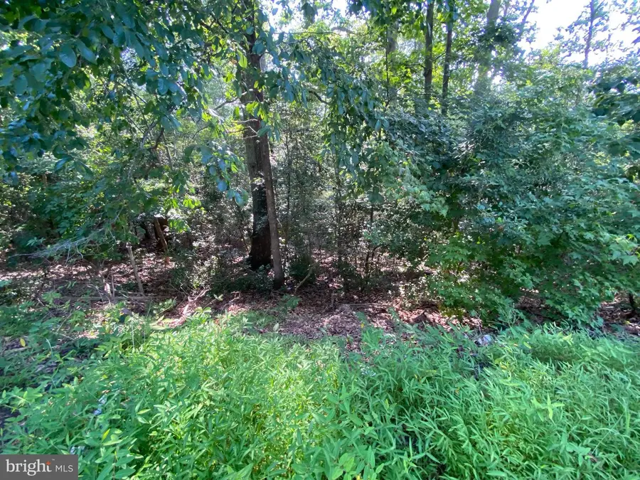 11525 Senora Ln, Lusby, MD 20657 - Image #3