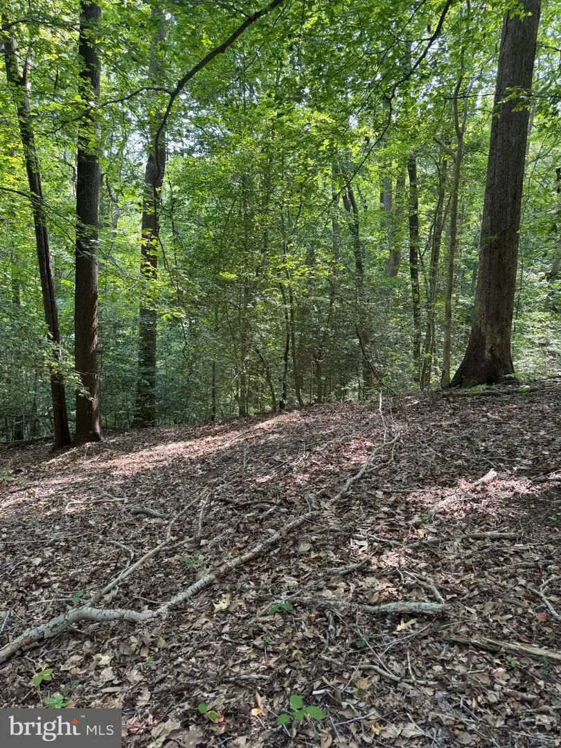 4685 Camp Roosevelt Dr, Chesapeake Beach, MD 20732 - Image #1