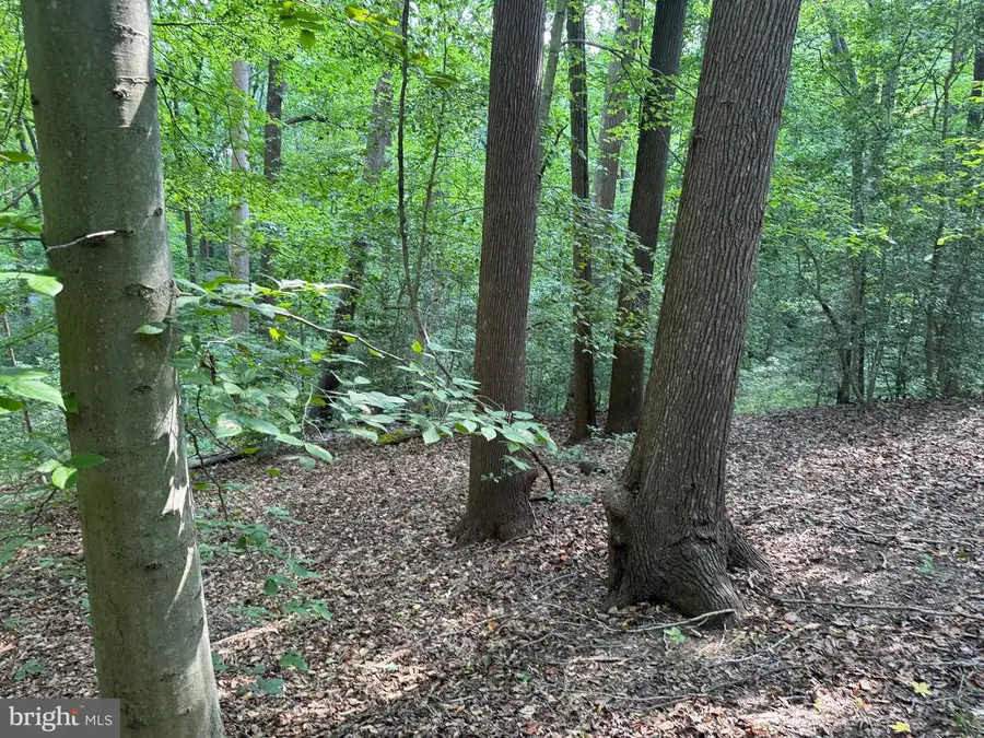 4685 Camp Roosevelt Dr, Chesapeake Beach, MD 20732 - Image #2