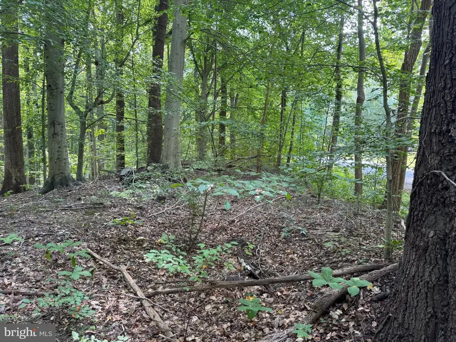 4685 Camp Roosevelt Dr, Chesapeake Beach, MD 20732 - Image #3