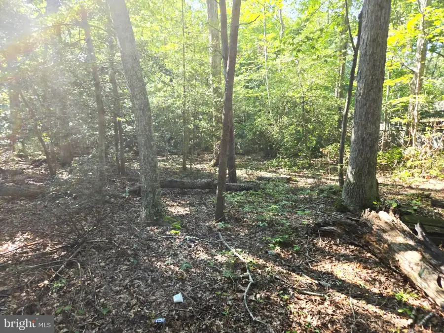 12817 Abilene Trl, Lusby, MD 20657 - Image #3