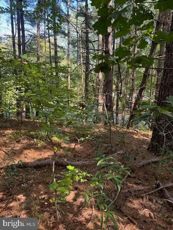 2550 Redbud Ln, Owings, MD 20736 - Image #3