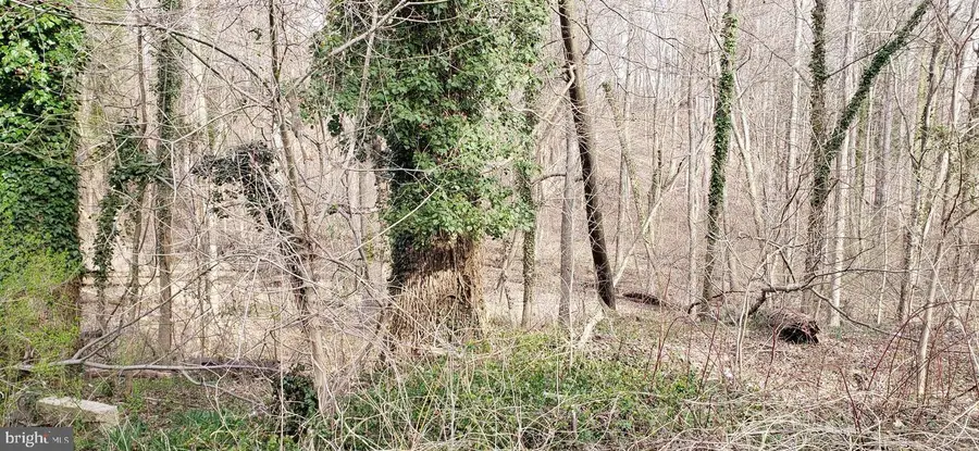 4200 Chesapeake Ave, Chesapeake Beach, MD 20732 - Image #2