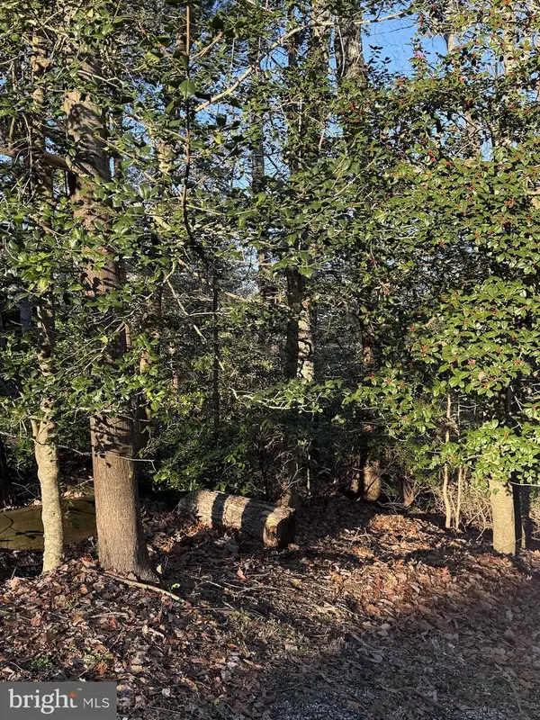 12225 Concho Ct, LUSBY, MD 20657