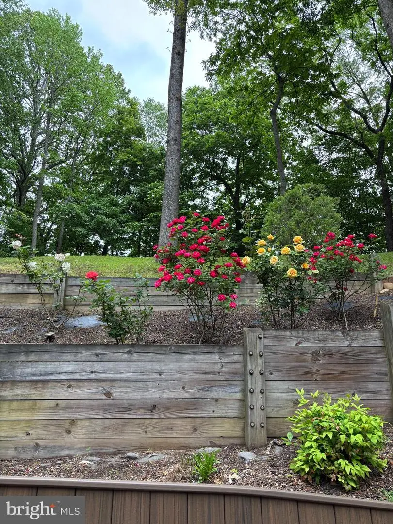 6309 Brookeview Ct, Chesapeake Beach, MD 20732 - #3