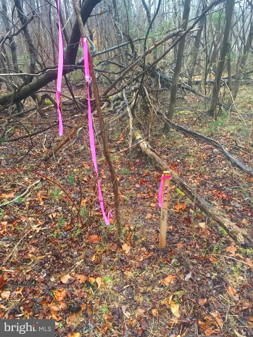 1750 Joe Harris Rd, Prince Frederick, MD 20678 - #2