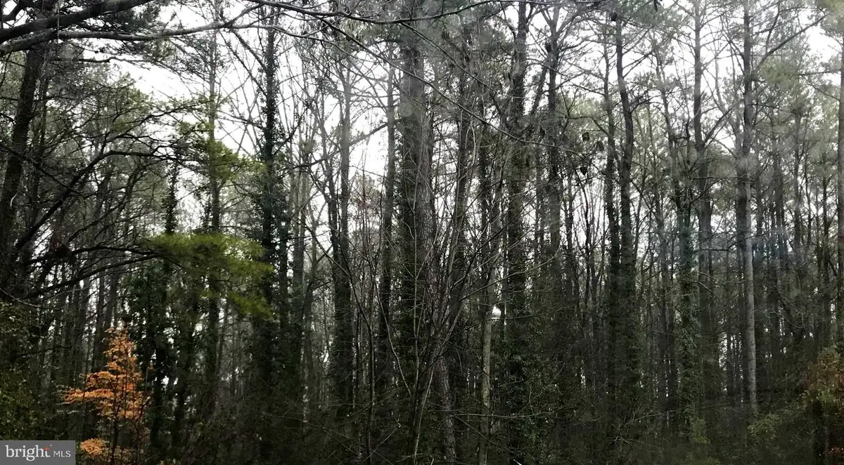 215 Lessin Dr, Lusby, MD 20657 - #1