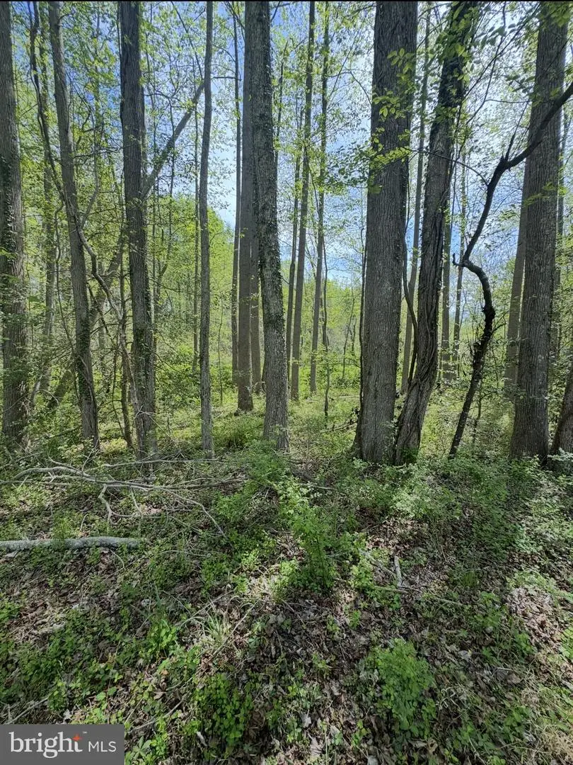 1485 Wilson Rd, Huntingtown, MD 20639 - #3