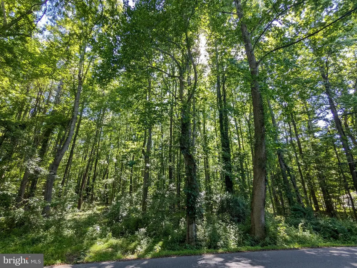 1260 Lottie Fowler Rd, Prince Frederick, MD 20678 - #1