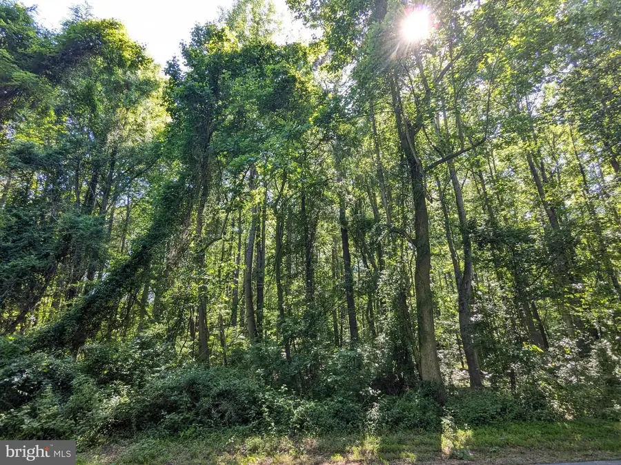 1260 Lottie Fowler Rd, Prince Frederick, MD 20678 - #3