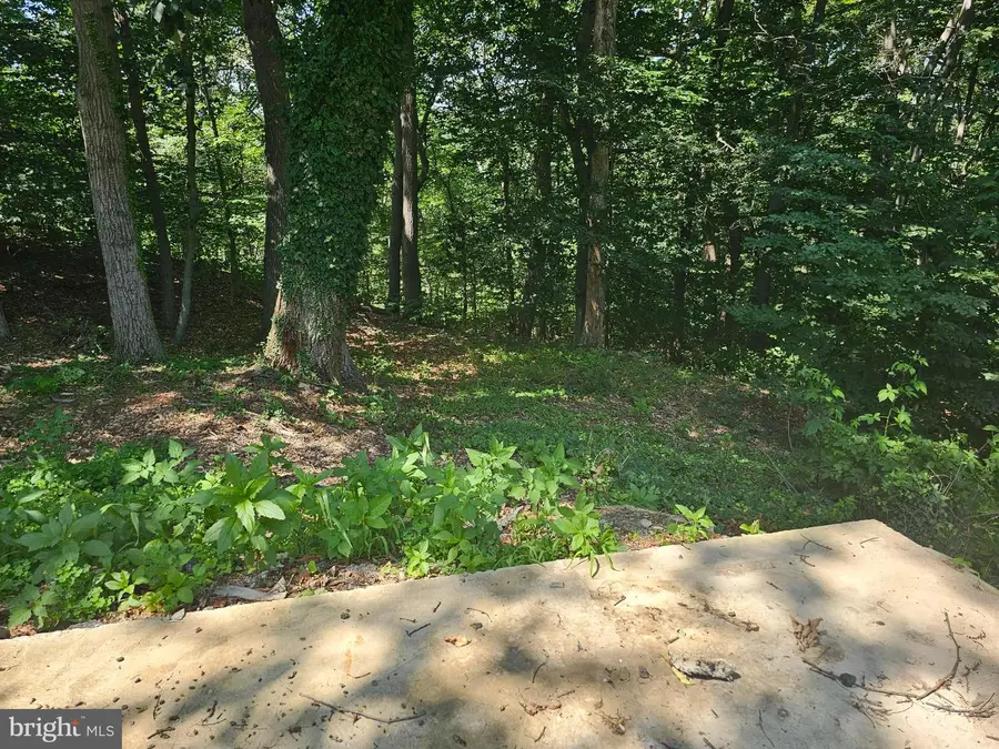 20 Inka Ln #glen 3, Earleville, MD 21919 - Image #3