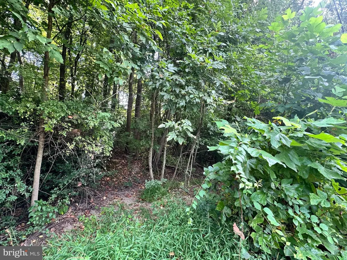 1 Elizabeth St, Elkton, MD 21921 - Image #1