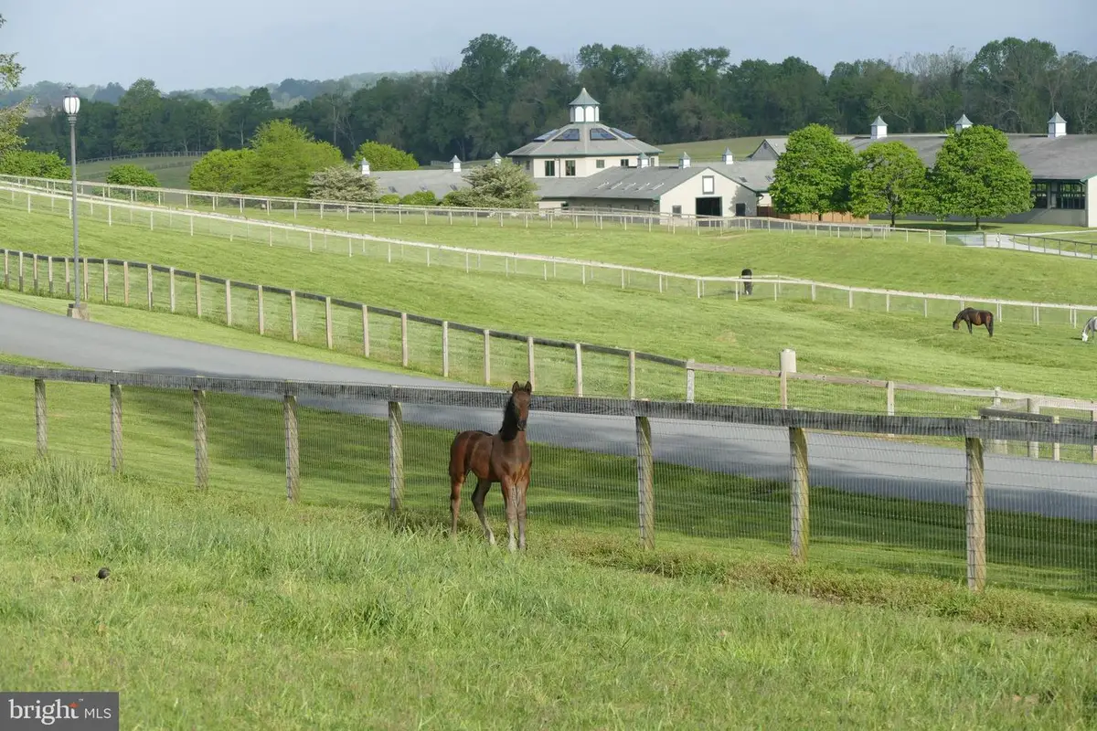 1089 Nesbitt Rd, Colora, MD 21917 - #1