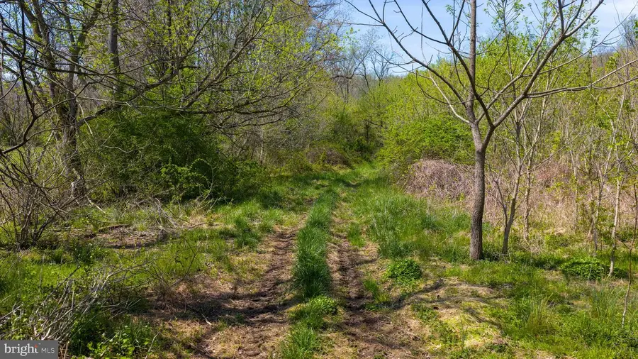 95 Frog Hollow Ln, Rising Sun, MD 21911 - #3