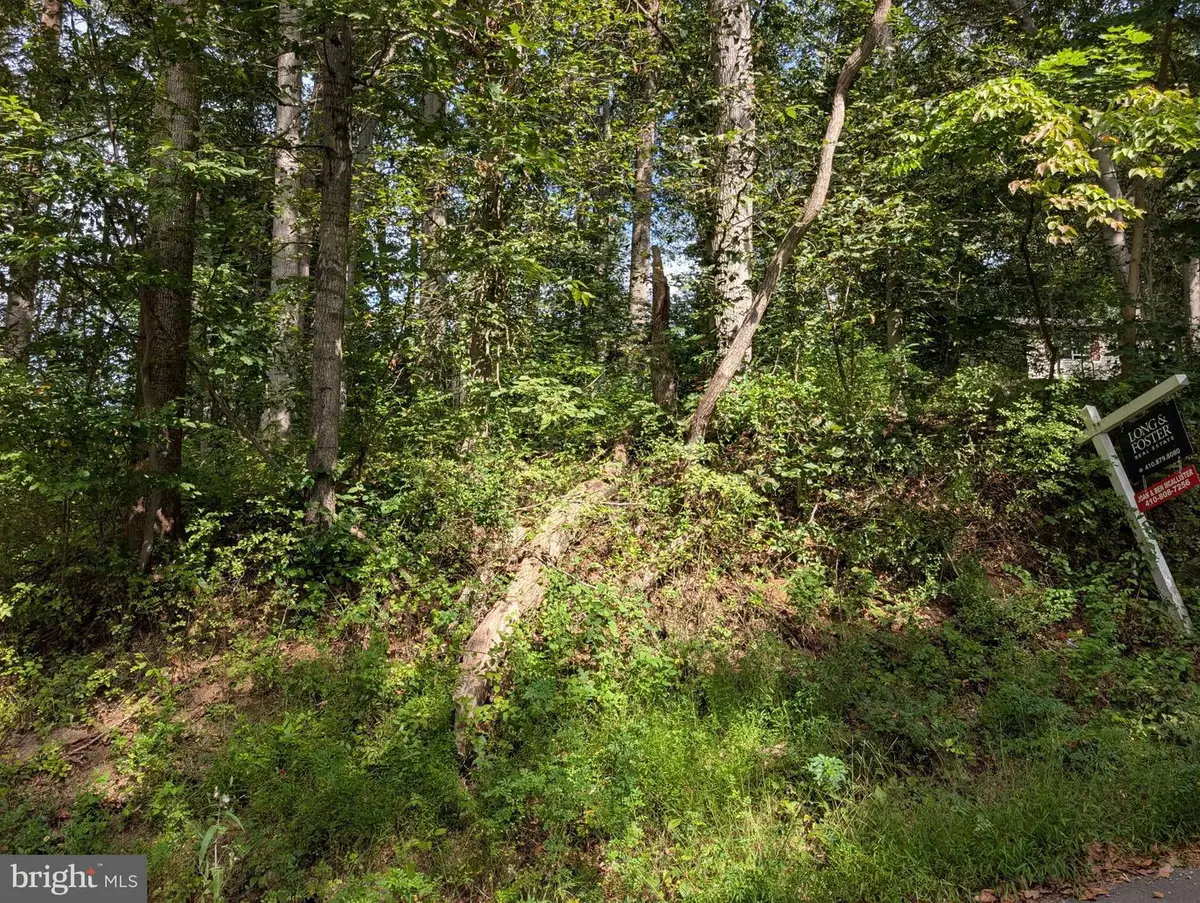 Lots 126-127 Codjus Dr, Rising Sun, MD 21911 - #1