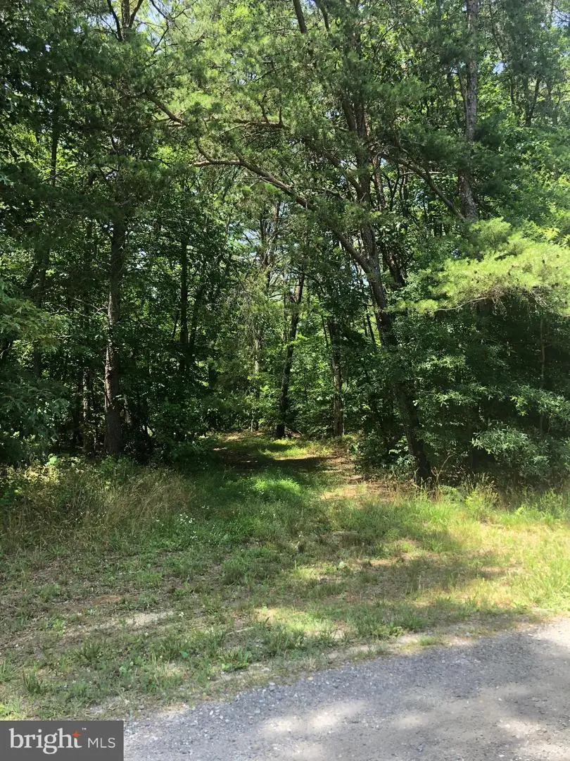 Opals Pl, White Plains, MD 20695 - Image #3