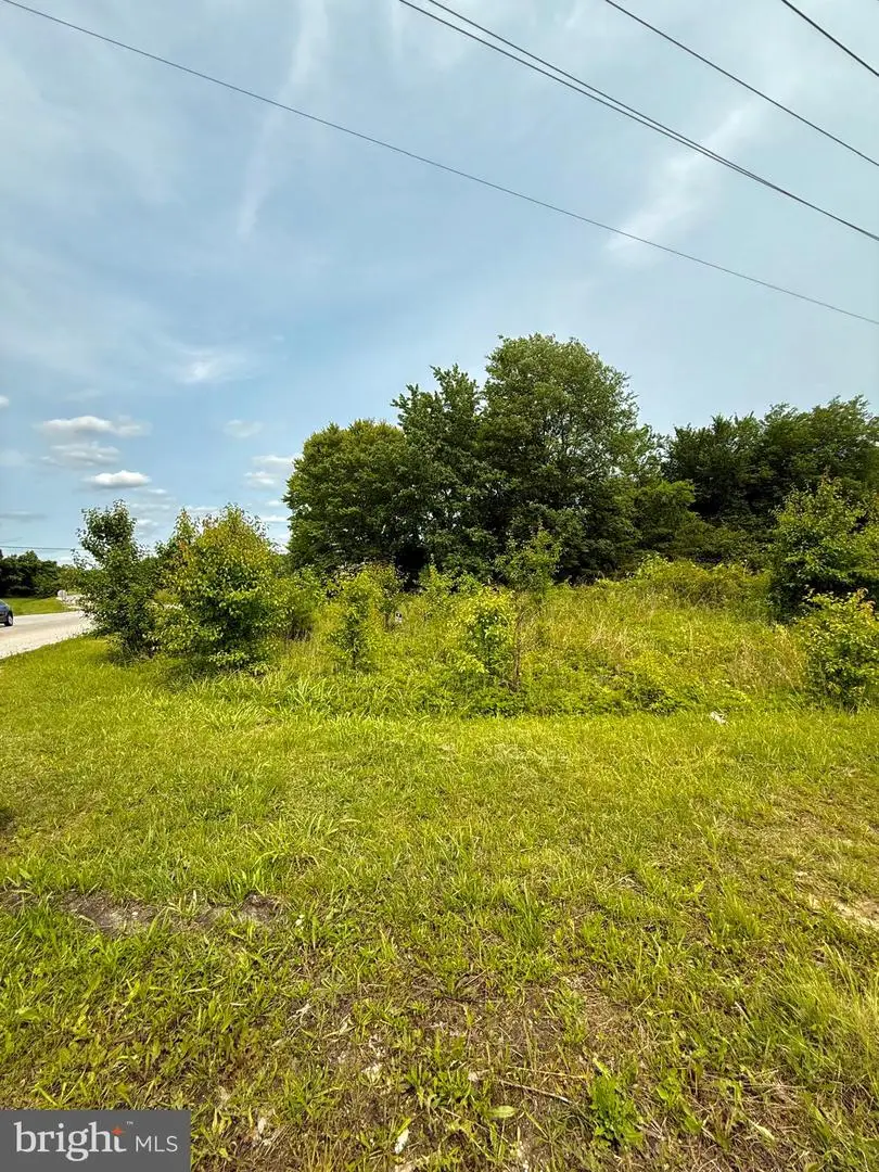 Leonardtown & Herbert Rd, Hughesville, MD 20637 - Image #2