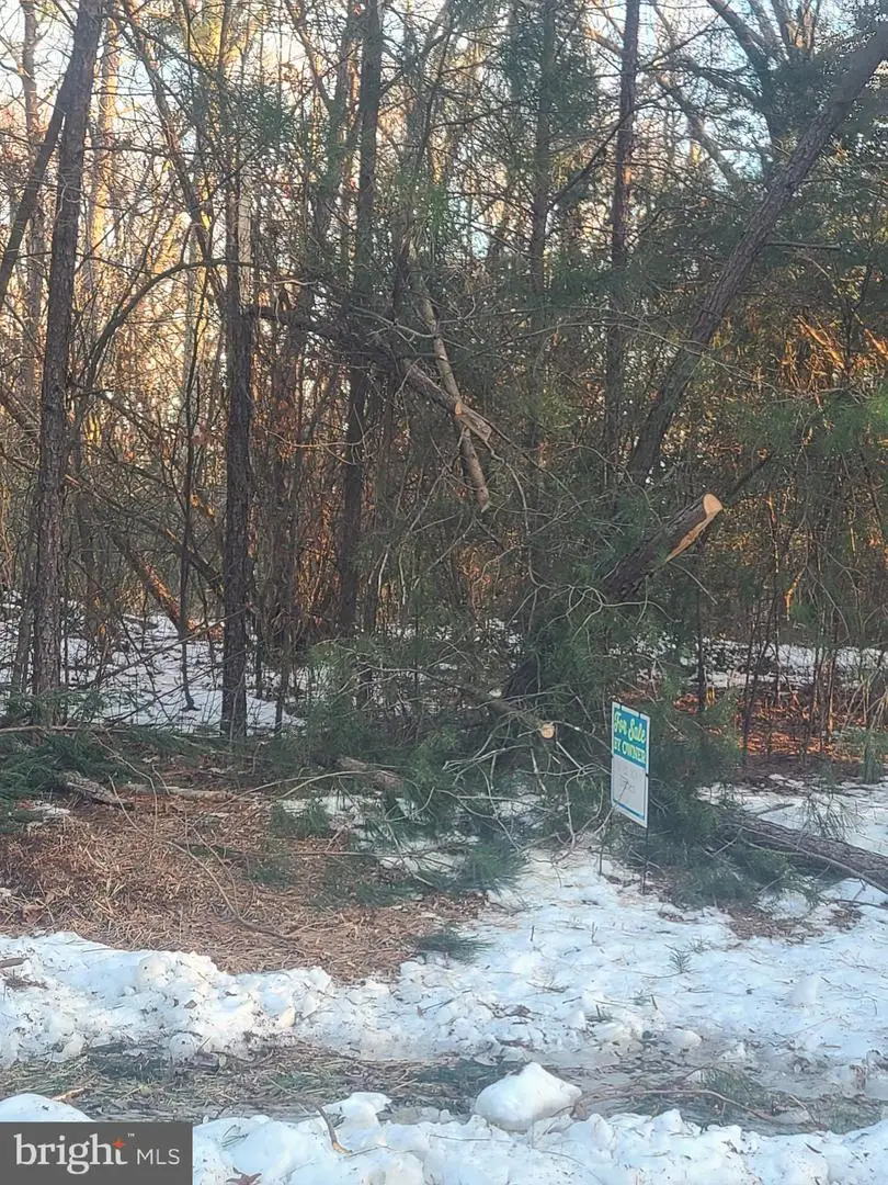 Shiloh Church Road, Newburg, MD 20664 - #1