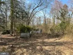 9665 Docs Pl, La Plata, MD 20646 - Image #3