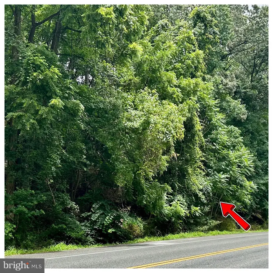 11450 Budds Creek Rd, Charlotte Hall, MD 20622 - Image #3