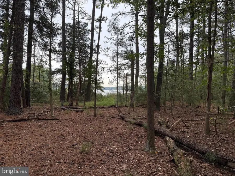 14680 Bar Harbor Ct, Issue, MD 20645 - Image #3